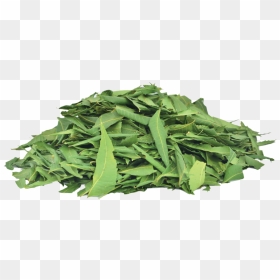 Neem Whole Dried Leaves, HD Png Download - tobacco leaf png