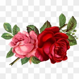 Flores Rojas Vintage Png Clipart , Png Download - Vintage Roses Png, Transparent Png - flores vintage png