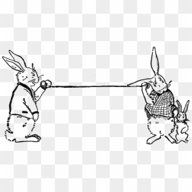 Peter Rabbit Albert 06 - Peter Rabbit Illustrations, HD Png Download - peter rabbit png