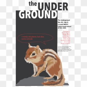 This Project Includes - Eastern Chipmunk, HD Png Download - chipmunk png