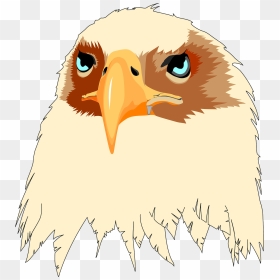 Patriotic American Bald Eagle, HD Png Download - bald eagle head png