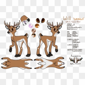 View Topic Buying Art - Deer Drawing Semi Realistic, HD Png Download - whitetail deer png