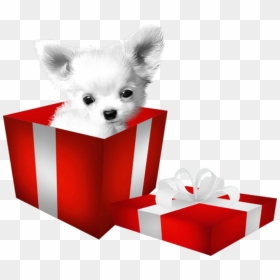 Pomeranian Puppy Dog Breed Clip Art - Щенок В Коробке Пнг, HD Png Download - pomeranian png