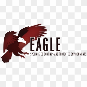 Bald Eagle , Png Download - Red-tailed Hawk, Transparent Png - bald eagle head png