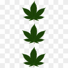Transparent Weed Leaf Png, Png Download - cannabis leaf png