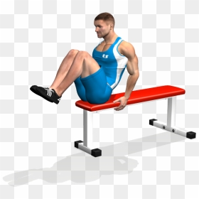 Seated Flat Bench Leg Pull In Involved Muscles During - Pull In Su Panca, HD Png Download - muscles png