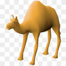 Ali The Camel, HD Png Download - ali a png
