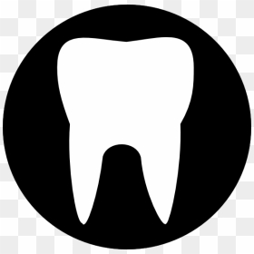 Clipart Tooth Outline , Png Download - Human Tooth, Transparent Png - tooth outline png