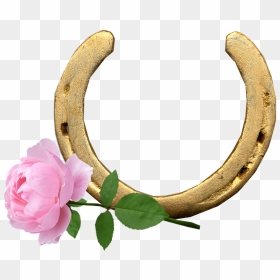 Multi Ani 29 Februarie, HD Png Download - horse shoe png