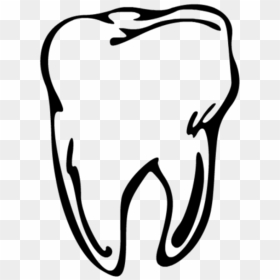 Line Drawing At Getdrawings - Teeth Drawing Png, Transparent Png - tooth outline png