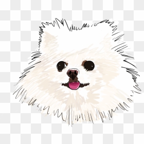 White Pomeranian Cartoon, HD Png Download - pomeranian png