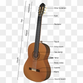 Partes De La Guitarra , Png Download - Acoustic Guitar Anatomy, Transparent Png - guitarra png