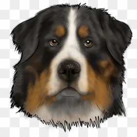 Bernese Mountain Dog, HD Png Download - duck hunt dog png