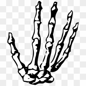 Free Vector Graphic On Pixabay - Skeleton Hand Clipart Png, Transparent Png - skeleton hand png