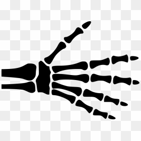 Hand Skeleton Comments - Skeletal Hand Clip Art, HD Png Download - skeleton hand png