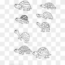 Dibujos De Tortugas Chiquitas, HD Png Download - turtles png
