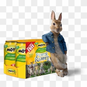 Transparent Peter Rabbit Png - Motts Peter Rabbit, Png Download - peter rabbit png