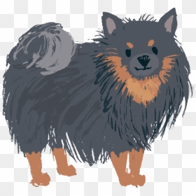 Pomeranian Black And Tan - Black Pomeranian Clipart, HD Png Download - pomeranian png