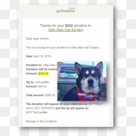 Companion Dog, HD Png Download - gofundme png