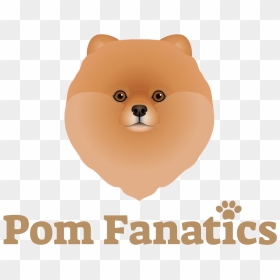 Dogs, Pomeranians, Dog Breeds, Doggies, Species Of - Pomeranian, HD Png Download - pomeranian png