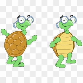 Transparent Standing Turtle, HD Png Download - turtles png