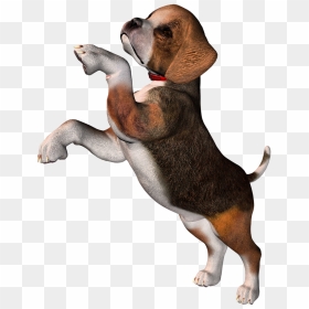 Perro Clipart Beagle - Clipart Pocket Beagle Dog, HD Png Download - perro png
