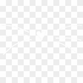 #png #overlay #overlays #cat #meow #cats #face #nose - Drawing, Transparent Png - cat nose png