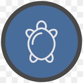 Circle, HD Png Download - turtles png