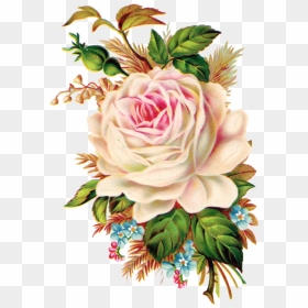 Rose Clipart Bucket - Free Vintage Rose Clip Art, HD Png Download - flores vintage png