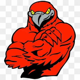 Falcons Basketball Clipart - Ehf Passau Black Hawks, HD Png Download - muscles png