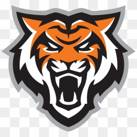 Primary Bengal Logo With Ltgray Stroke Png - Idaho State Bengals Logo, Transparent Png - tiger logo png