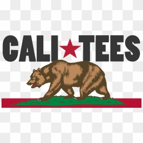 Logo - Flag Of California Vector, HD Png Download - nautical star png