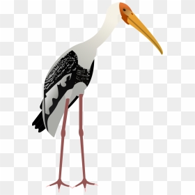 Png Birds Painted Stork, Transparent Png - stork png