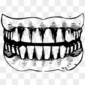 Gritted Teeth Black And White Vector Illustration - Teeth Black And White Png, Transparent Png - tooth outline png
