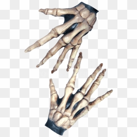 Bone Hands Png - Bony Hands, Transparent Png - skeleton hand png