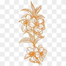 Almond Blossom Png Icons - Plant Clip Art, Transparent Png - blossom png