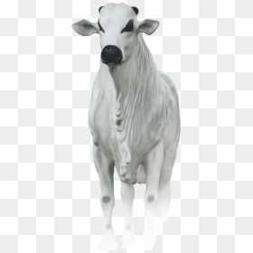 Livestock , Png Download - Boi Para Açougue Png, Transparent Png - boi png