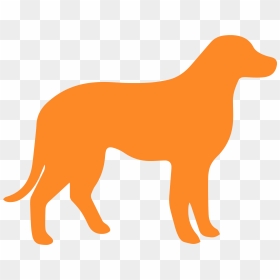 Dog Feeding Stand, HD Png Download - perro png