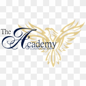 The Academy Of Coastal Carolina - Calligraphy, HD Png Download - coastal carolina logo png