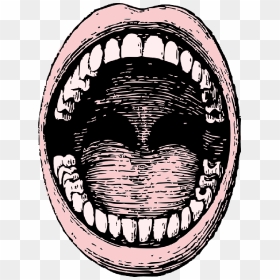 Head, Black, View, Diagram, Outline, Drawing, Open - Drawing Open Mouth With Teeth, HD Png Download - tooth outline png