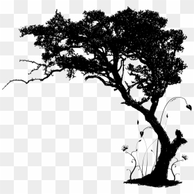 Redemption House Life Center - Snn Raj Greenbay Logo, HD Png Download - big tree png