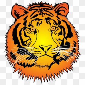Tiger Clipart Inside Number - Sticker, HD Png Download - tiger clipart png