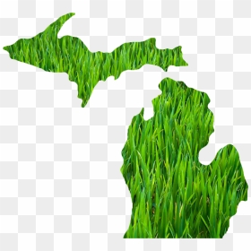 Michigan Outline Grass - State Of Michigan Transparent Background, HD Png Download - michigan outline png