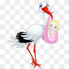 Bebê & Gestante - Storch Bringt Baby Mädchen, HD Png Download - stork png