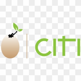 Emona, HD Png Download - citi logo png
