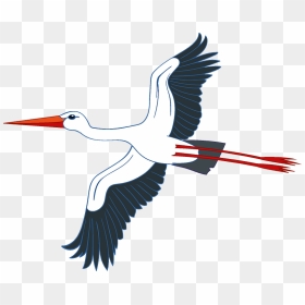 Stork Clipart - White Stork, HD Png Download - stork png