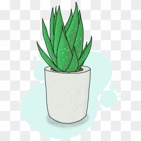 Aloe Png, Transparent Png - aloe png