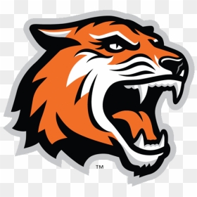 Tiger Sports Png - Rochester Institute Of Technology Mascot, Transparent Png - tiger logo png