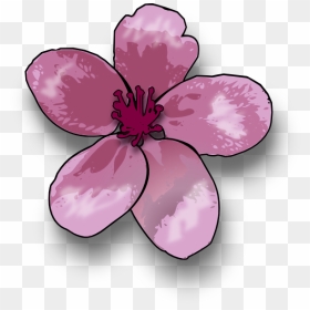 Blossom Svg Clip Arts - Peach Blossom Drawing Easy, HD Png Download - blossom png
