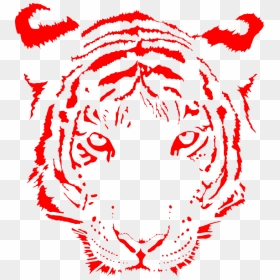 White Tiger Cartoon Transparent, HD Png Download - tiger clipart png